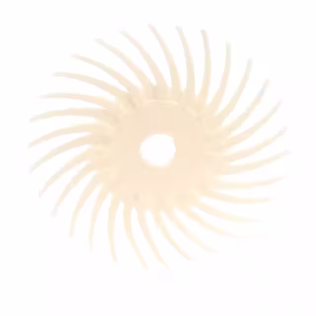 61500175791