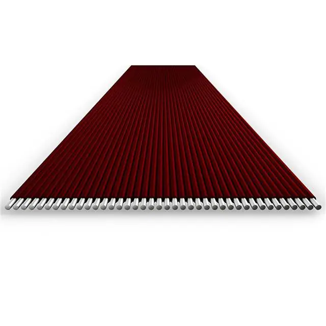 1000570273